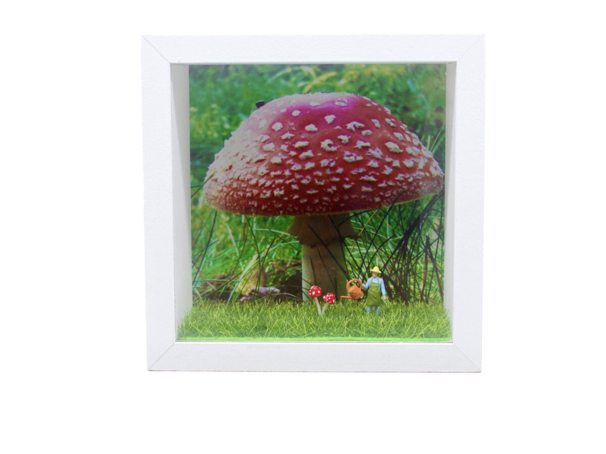 Dioramen mit Fotohintergrund