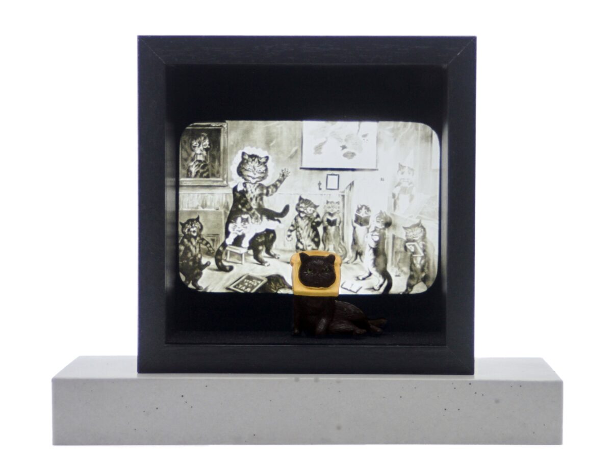 Katzen am Rande des Nervenzusammenbruchs