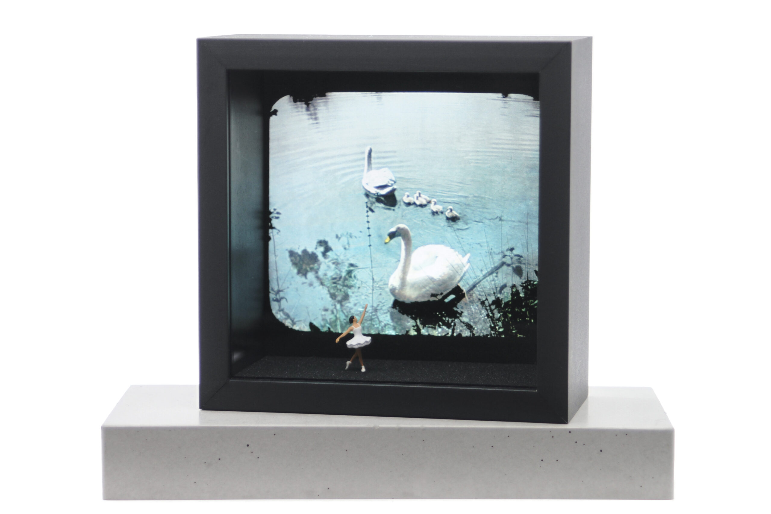 Schwanensee – Bild 2