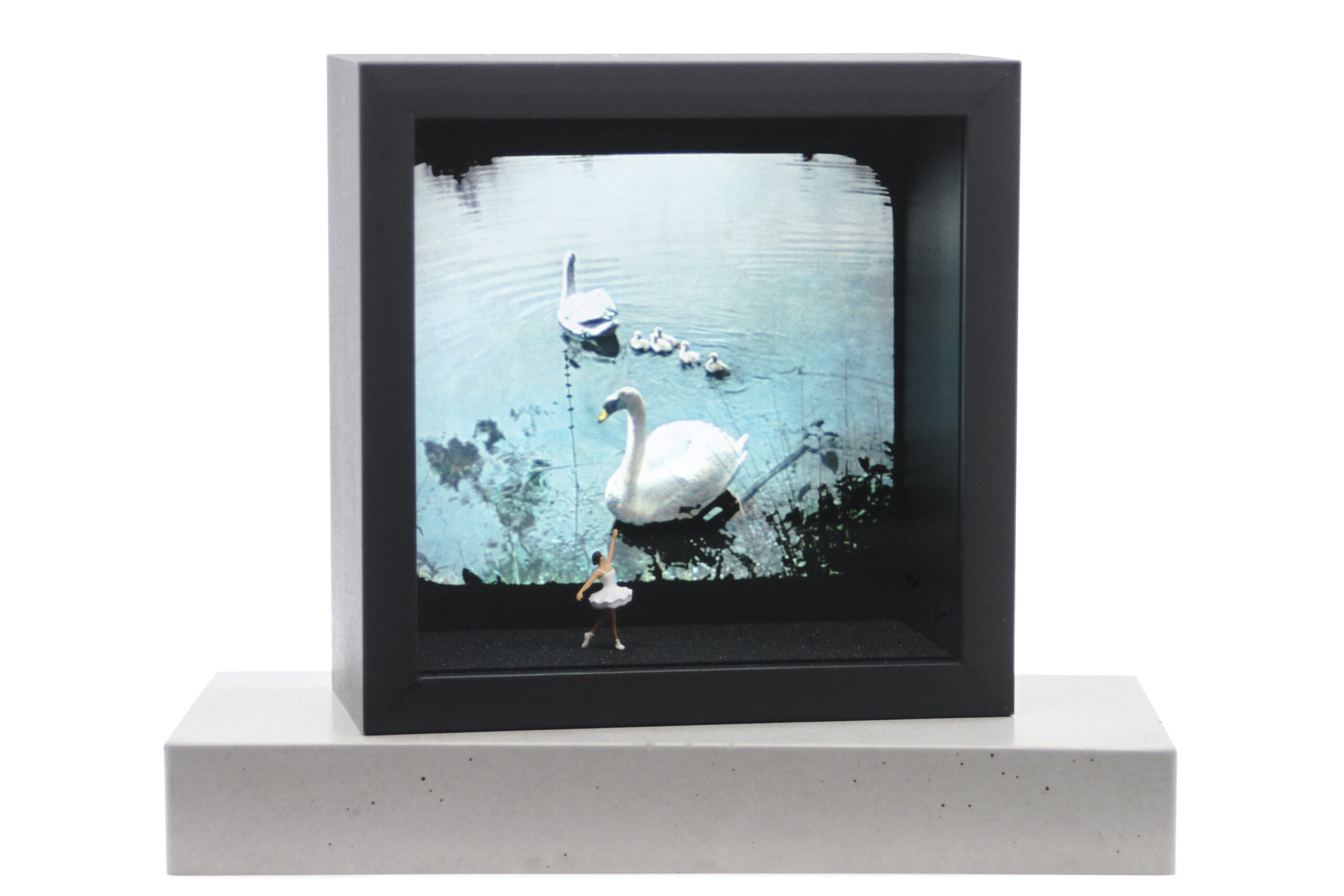 Schwanensee – Bild 3