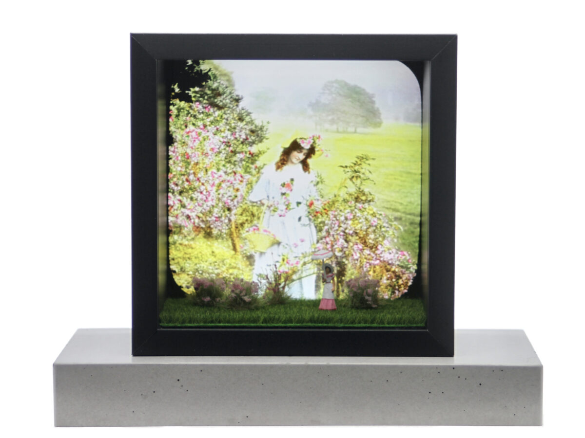 I Have Never Promised You A Rose Garden