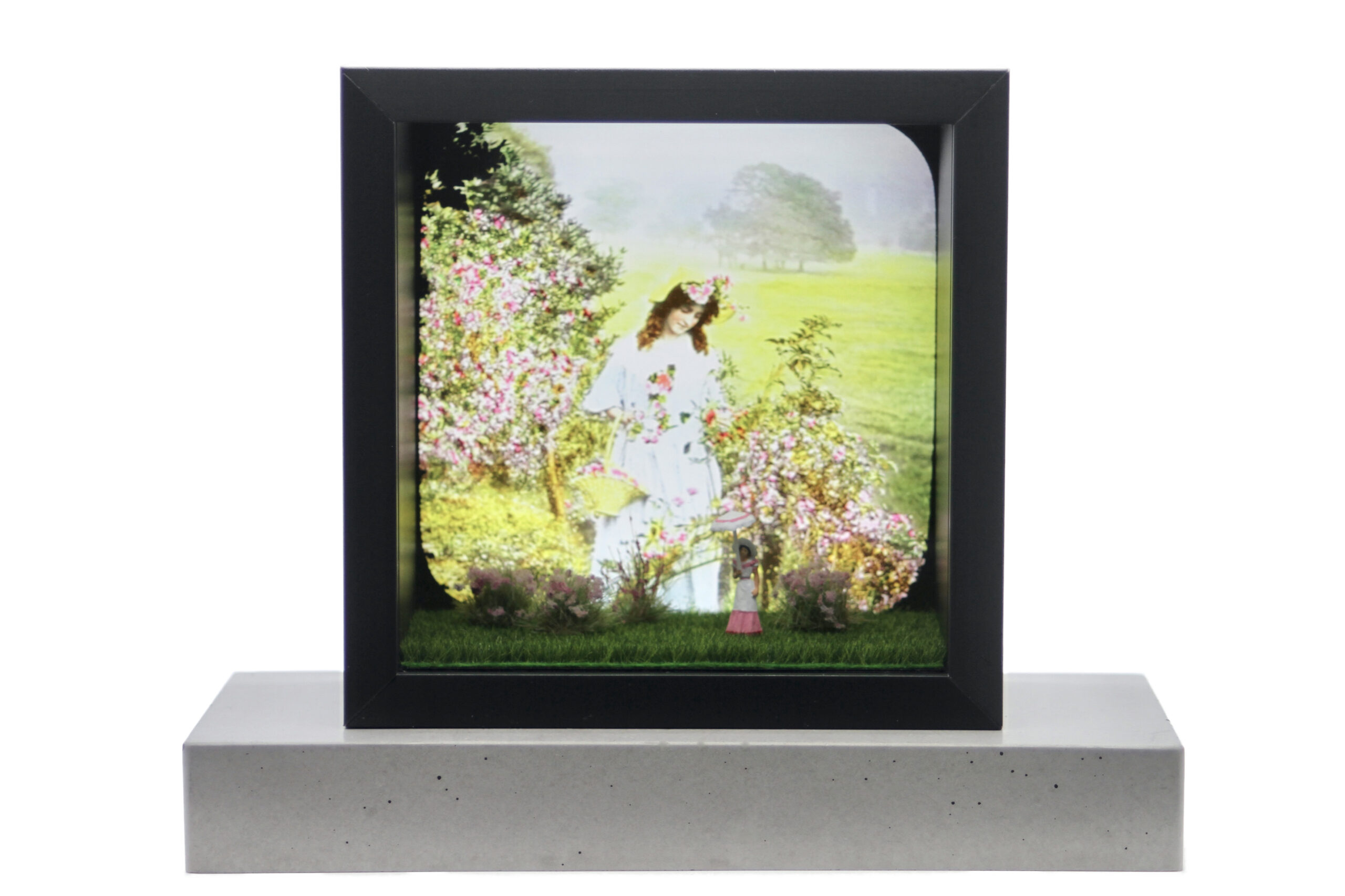 I Have Never Promised You A Rose Garden